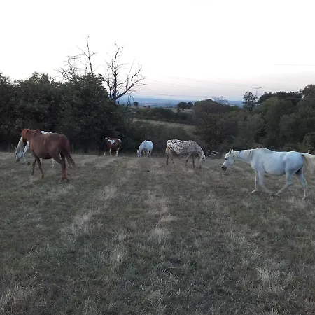 Hotel De Prejeurin *
